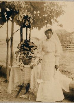 To Pick A Flower / Cortar una flor